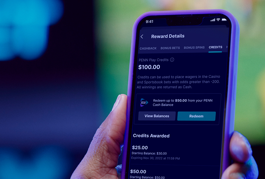 National Casino Image