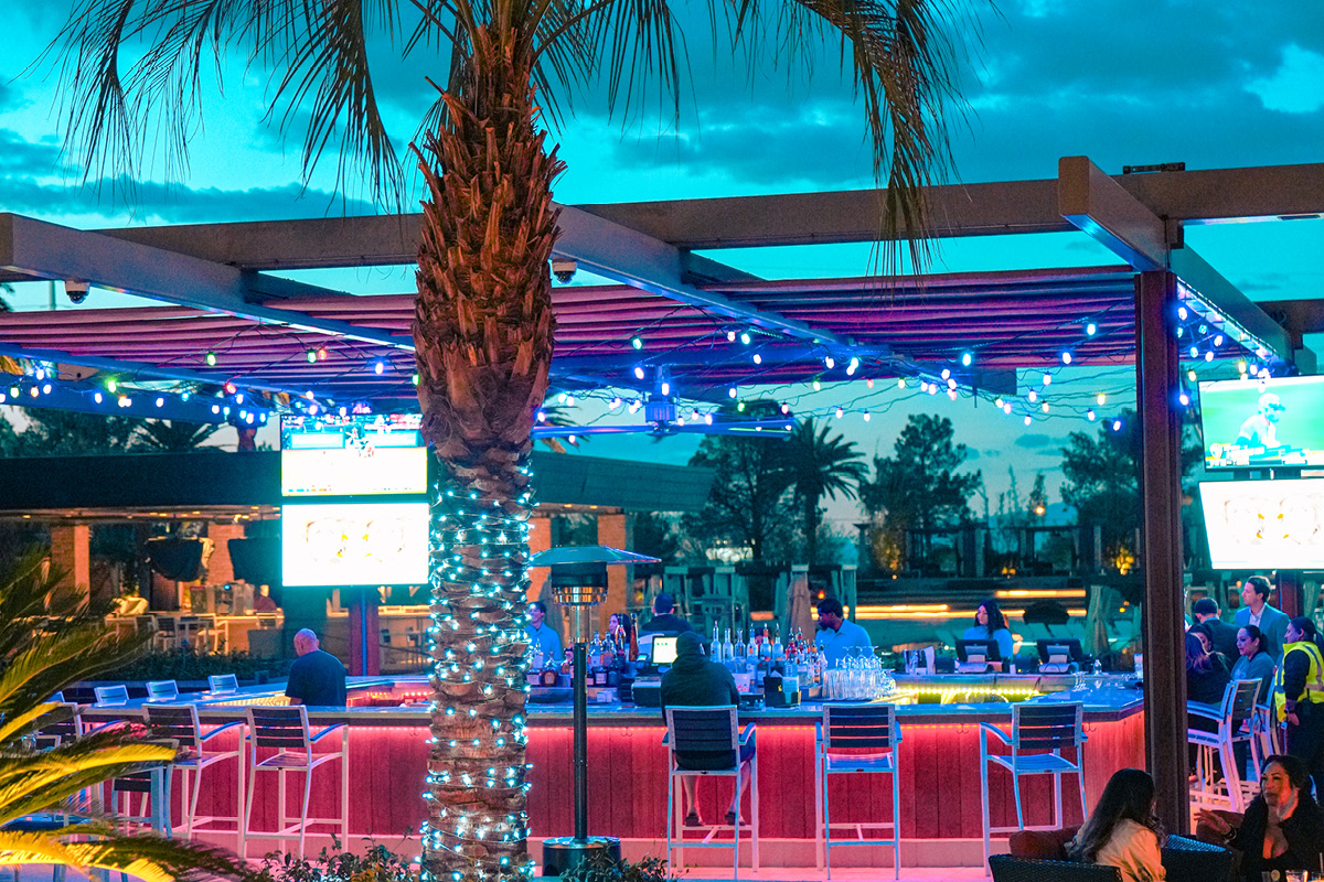 palm tree at M Resort pool 