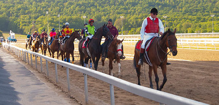 Horse race