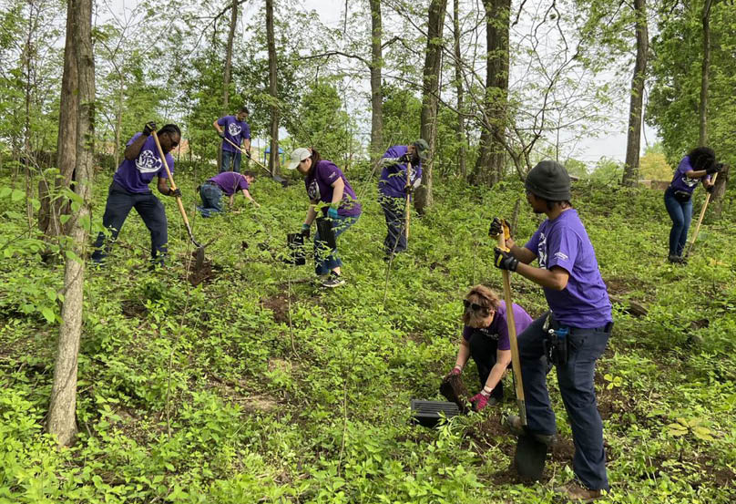 volunteers planting